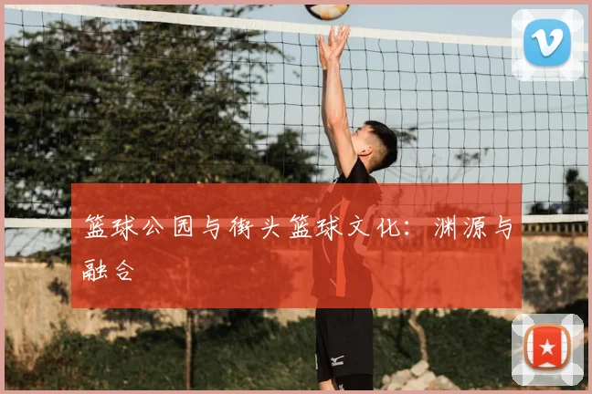 篮球公园与街头篮球文化:渊源与融合
