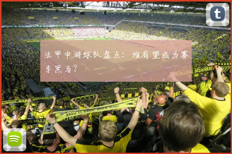 法甲中游球队盘点:谁有望成为赛季黑马?